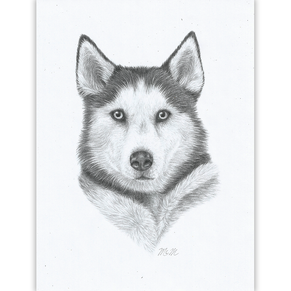 Pet Portrait - Dog