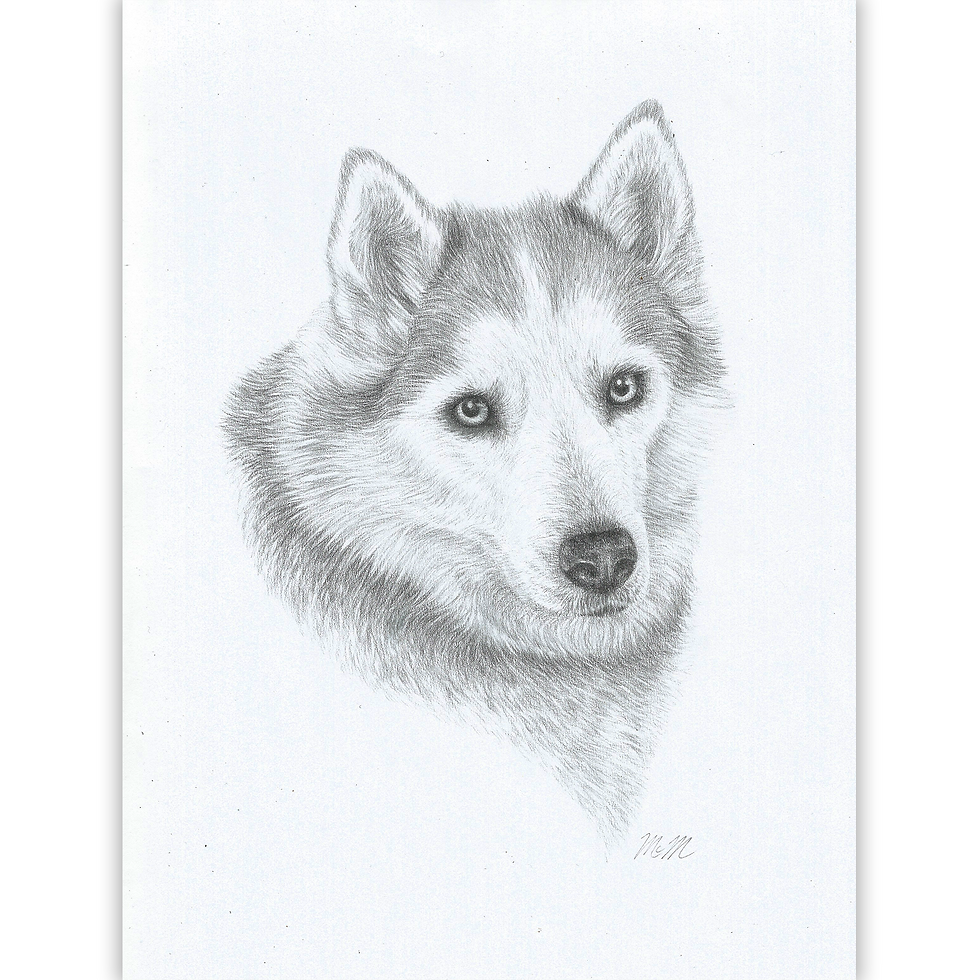 Pet Portrait - Dog