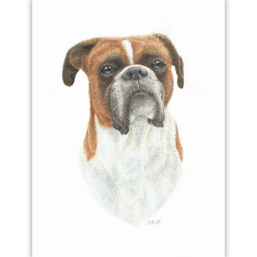 Pet Portrait - Dog