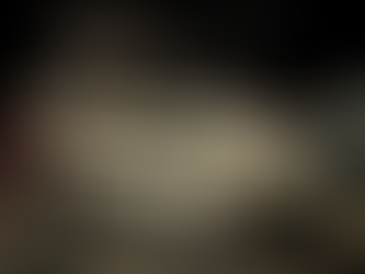 Napa Fishing and Outdoor Report - December 8th, 2022