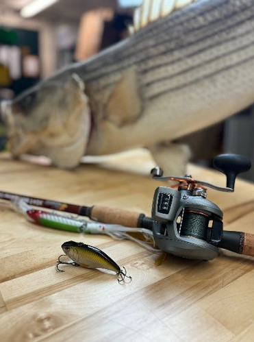 Bass Fishing Best Micro Spinning Reel Trolling Best Spinning Reel For  Striper Fishing Spinning Reel Best