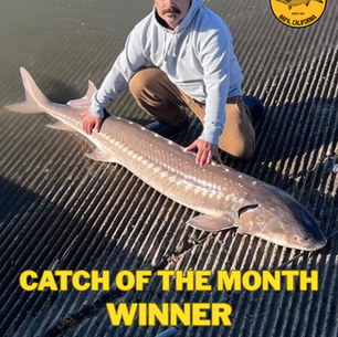 Spring Is Building: Napa River, Berryessa, and a Big Night Ahead for Napa Fishing Club