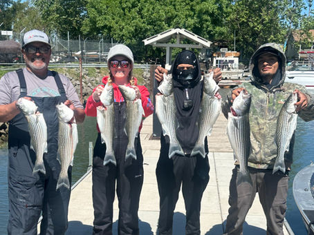 Napa Fishing Club Meeting, Catch of the Month & New Pond Stars Finds