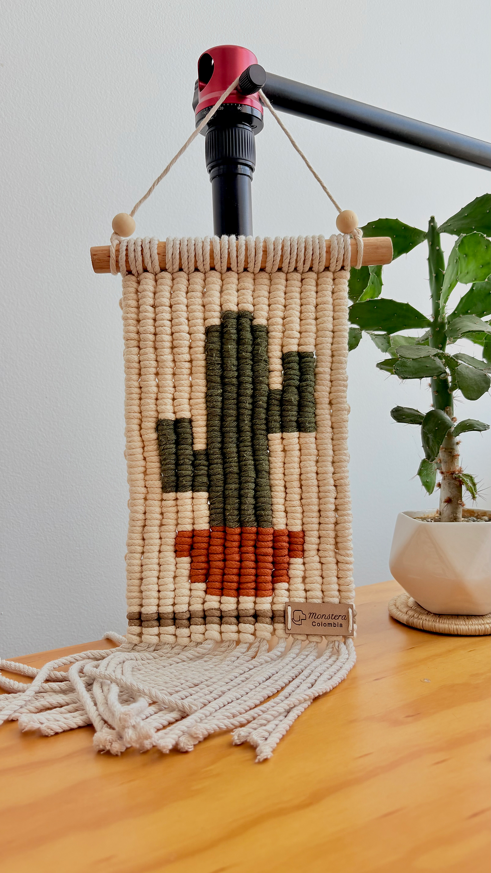 Miniatura: Mini cactus