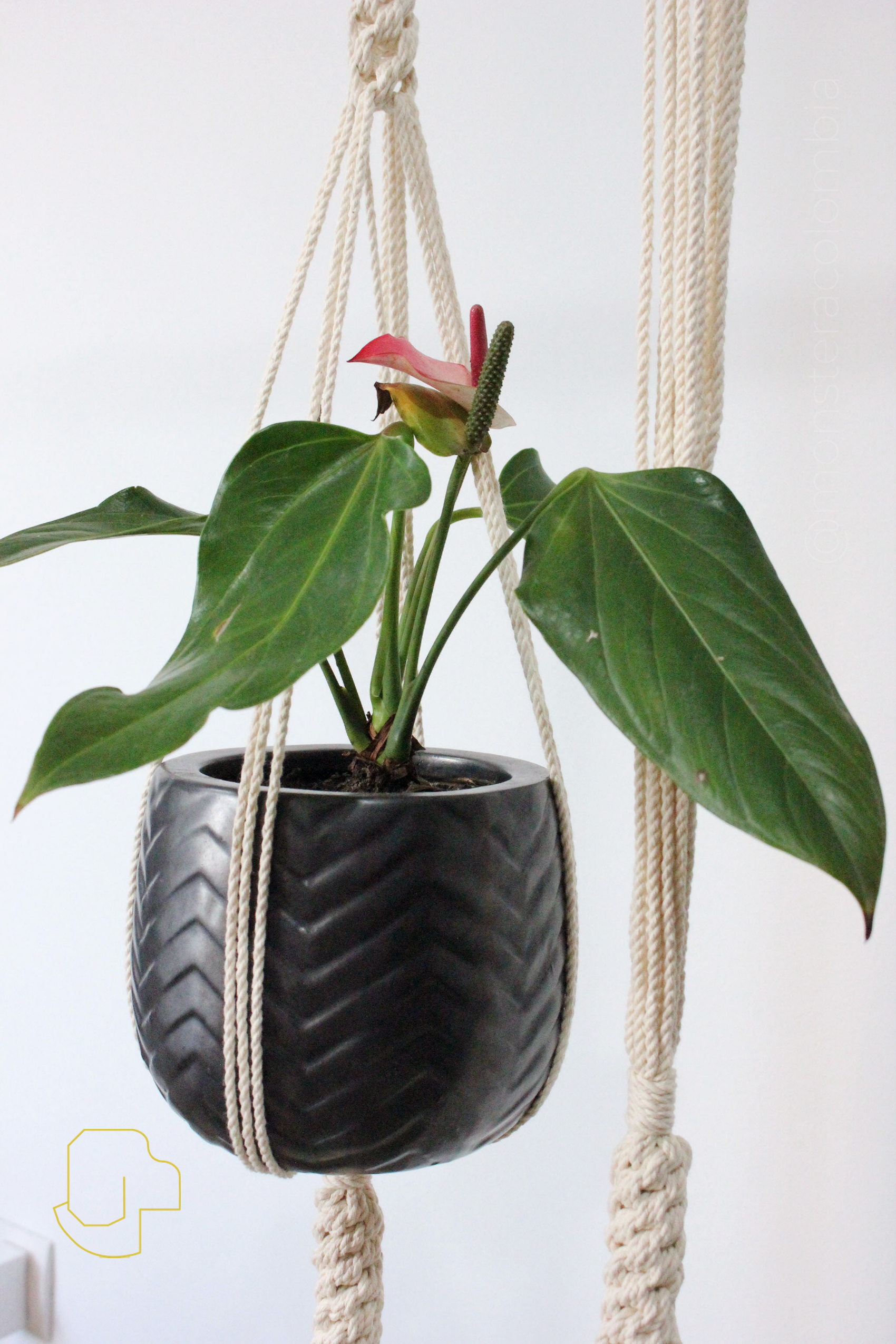 Hanger Whippet (Mediano)