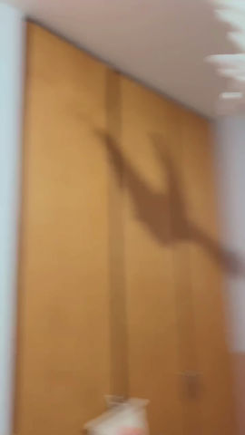 Miniatura: Arcoíris Julieta con hojitas