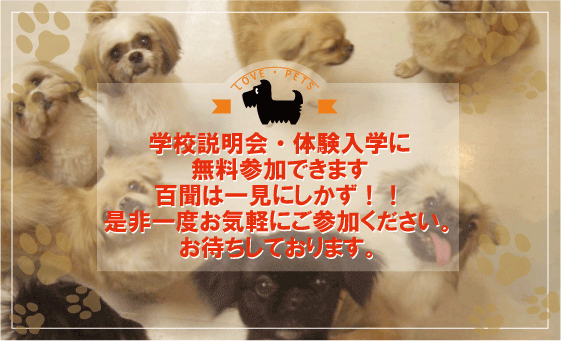 がっこうせつめいかい