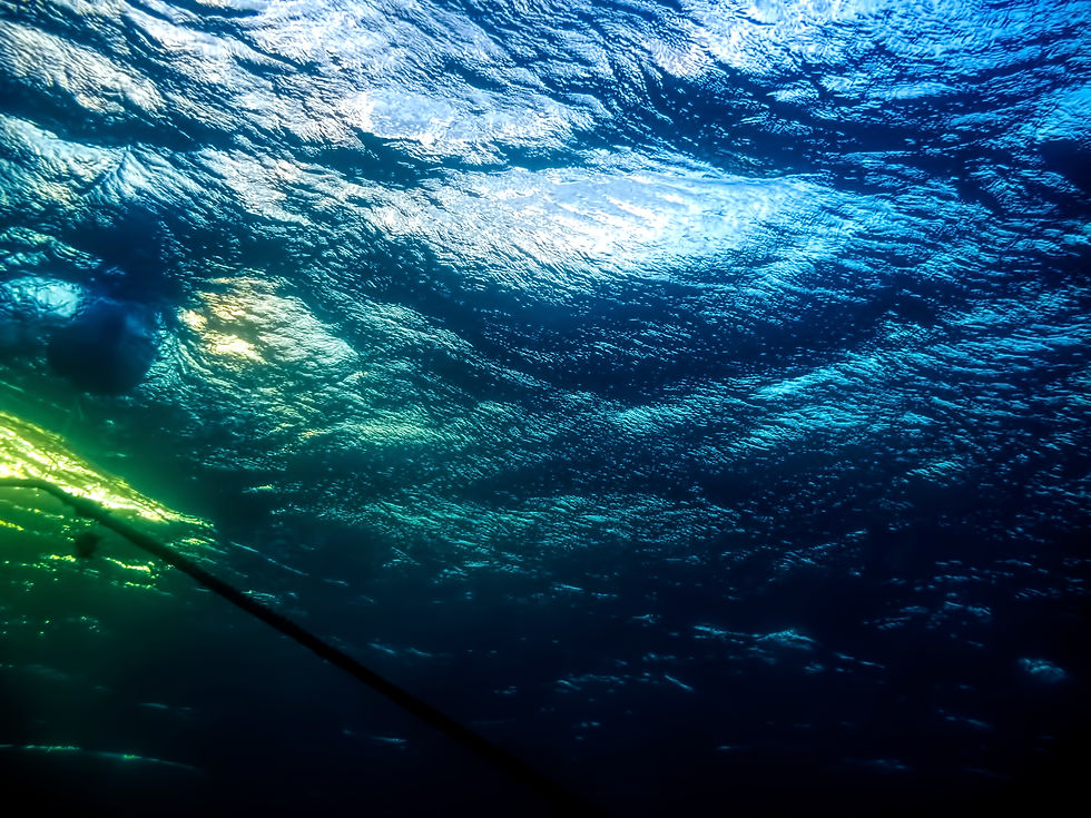 SOUS LA SURFACE