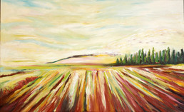 44521362_10156745973553210_3062398436092