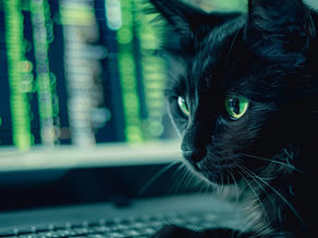 BlackCat Holds Change Healthcare Hostage as Network Outage Continues