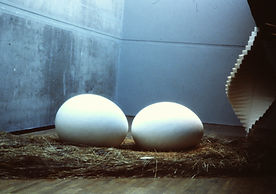 PICT0001.JPG