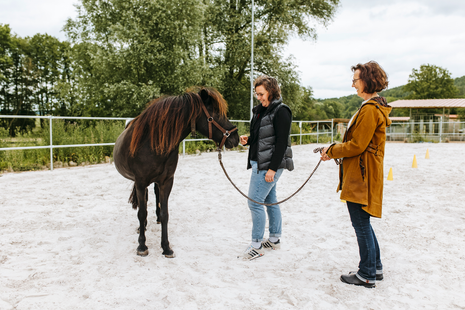Von Pferden lernen heißt führen lernen
