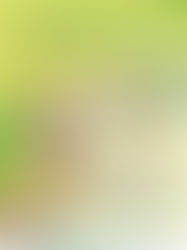 Vom Weißkraut zum Sauerkraut