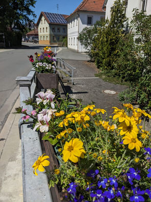 Der Blumenschmuck am Zentbach ist angebracht
