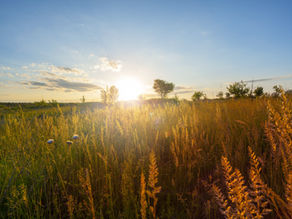 Kurzer Sommerimpuls für Juli/August 2025