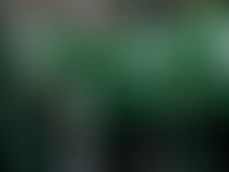 Pakistan receive USD 522K after super 8 exit as ICC announces T20 World Cup 2026 prize money