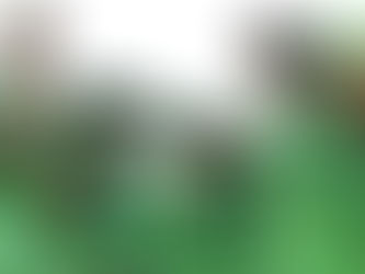 Pakistan crush New Zealand as semi-final race intensifies