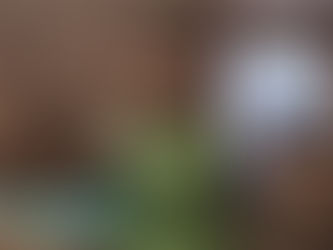 From slippery tiles to history books: how Sameer Minhas scripted his rise to Pakistan’s U19 glory