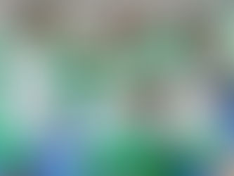 Pakistan hockey team left stranded in Australia amid administrative failures ahead of FIH pro league