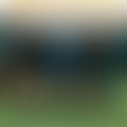 Pakistan Women script history with record 8-0 win over Turks & Caicos Islands