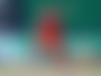 Adam Zampa explains the reason for preferring PSL over IPL