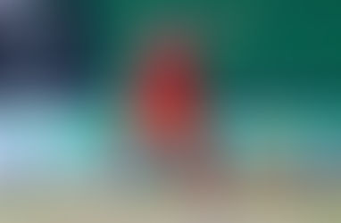 Adam Zampa explains the reason for preferring PSL over IPL