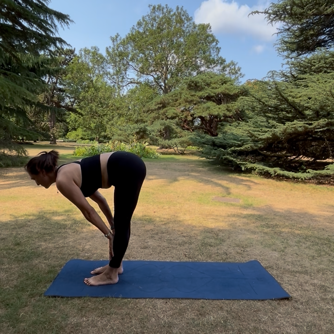 Postura de la media pinza