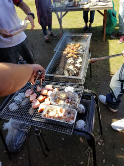 c82e79c9b0706e22f71151e126a4dd8f8_237213