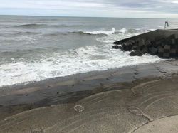 c82e79c9b0706e22f71151e126a4dd8f8_237249