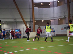 c82e79c9b0706e22f71151e126a4dd8f8_245933