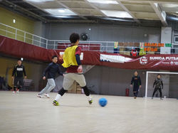 c82e79c9b0706e22f71151e126a4dd8f8_266813