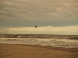 2018_09_23_180923_0209