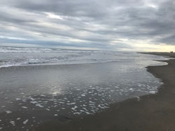 c82e79c9b0706e22f71151e126a4dd8f8_237249