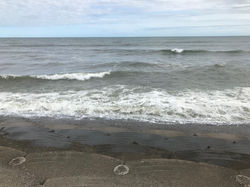 c82e79c9b0706e22f71151e126a4dd8f8_237249