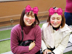 c82e79c9b0706e22f71151e126a4dd8f8_245930