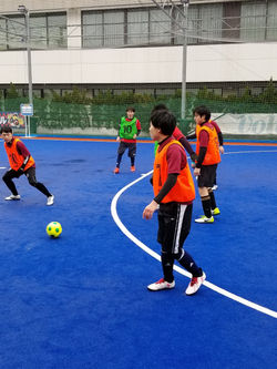 20190303_190305_0084