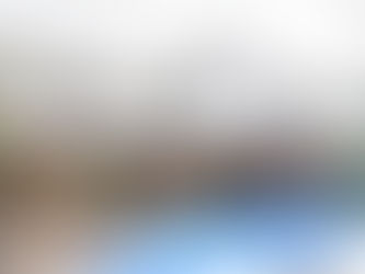 Hurricane Preparation: Sheltering your Home (Part Two)