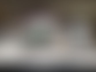 West Florida After Ian