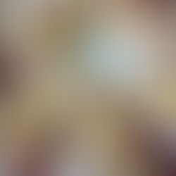 Sassy & Bold Jams Strawberry Cream Cheese Pastry