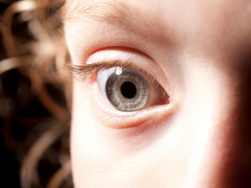 The Ancient Brain and the worry alarm: how Wellbeing Hacks explains the amygdala to kids