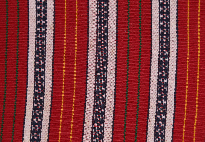 A closer look at the yardage’s linear black motifs situated on white stripes