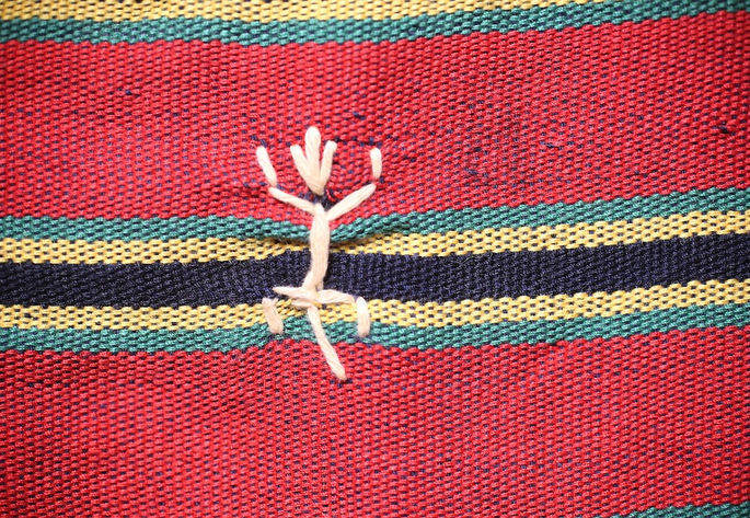 A close-up shot on one of the lizard embroideries