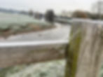 IMG_9764.jpeg