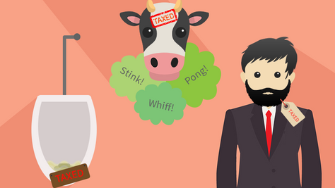 The World’s Weirdest Tax Rules