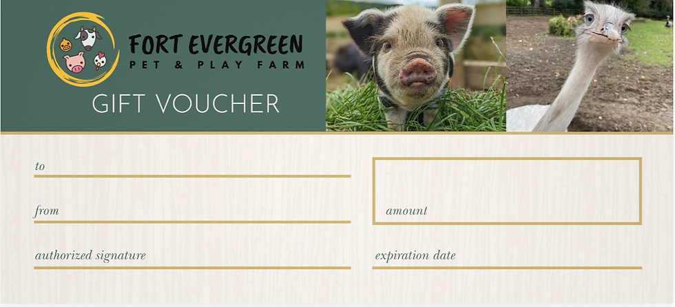 Gift Voucher