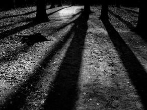 Shadow Days