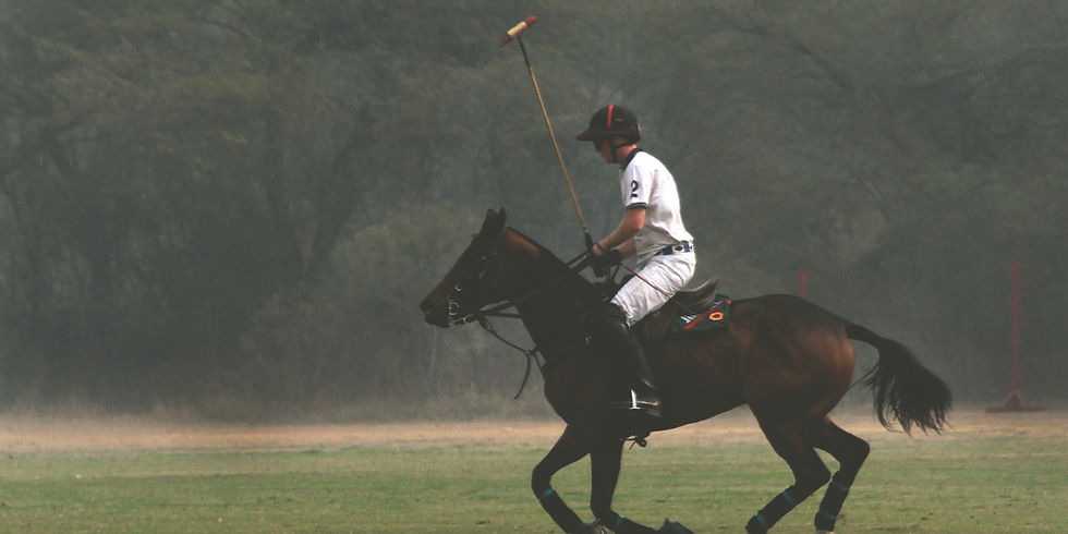 man horse backriding on green field_edited_edited.jpg
