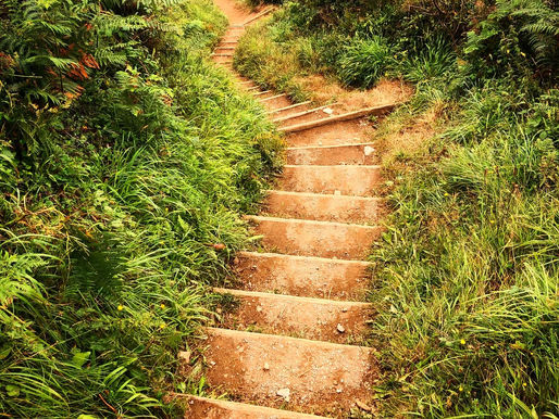 Lessons Learned from the Coastal Path: a summer update
