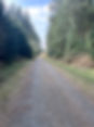 nature walks