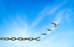 chains transforming to birds.jpg